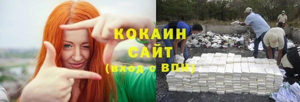 mix Бородино