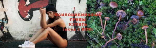 альфа пвп Бугульма